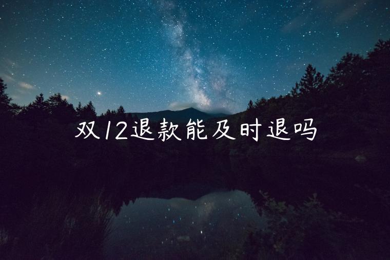 雙12退款能及時(shí)退嗎